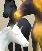 StudioSikh - Страница 2 Foals140x170